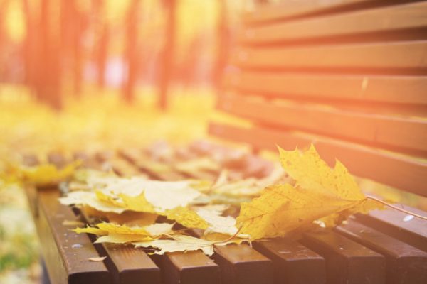 من،پاییز،تو…