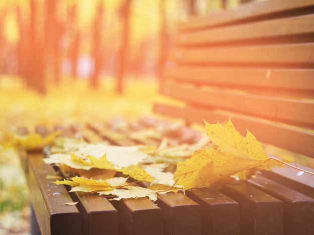 من،پاییز،تو…