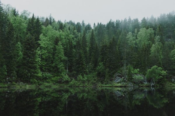 آسمان عاشق تر از سرو است…